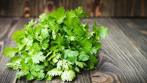 Cilantro- rau mùi là gì? Công dụng của rau mùi và cách phân biệt với rau mùi tây