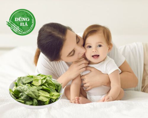 [Hỏi đáp mẹ và bé] Ăn rau cải có mất sữa không? Những điều cần biết cho mẹ sau sinh
