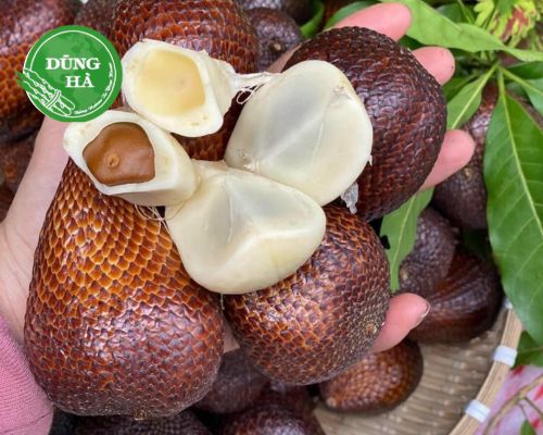 TOP các loại trái cây đặc sản của Indonesia có thể bạn chưa biết